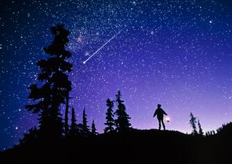 meteorinnightsky